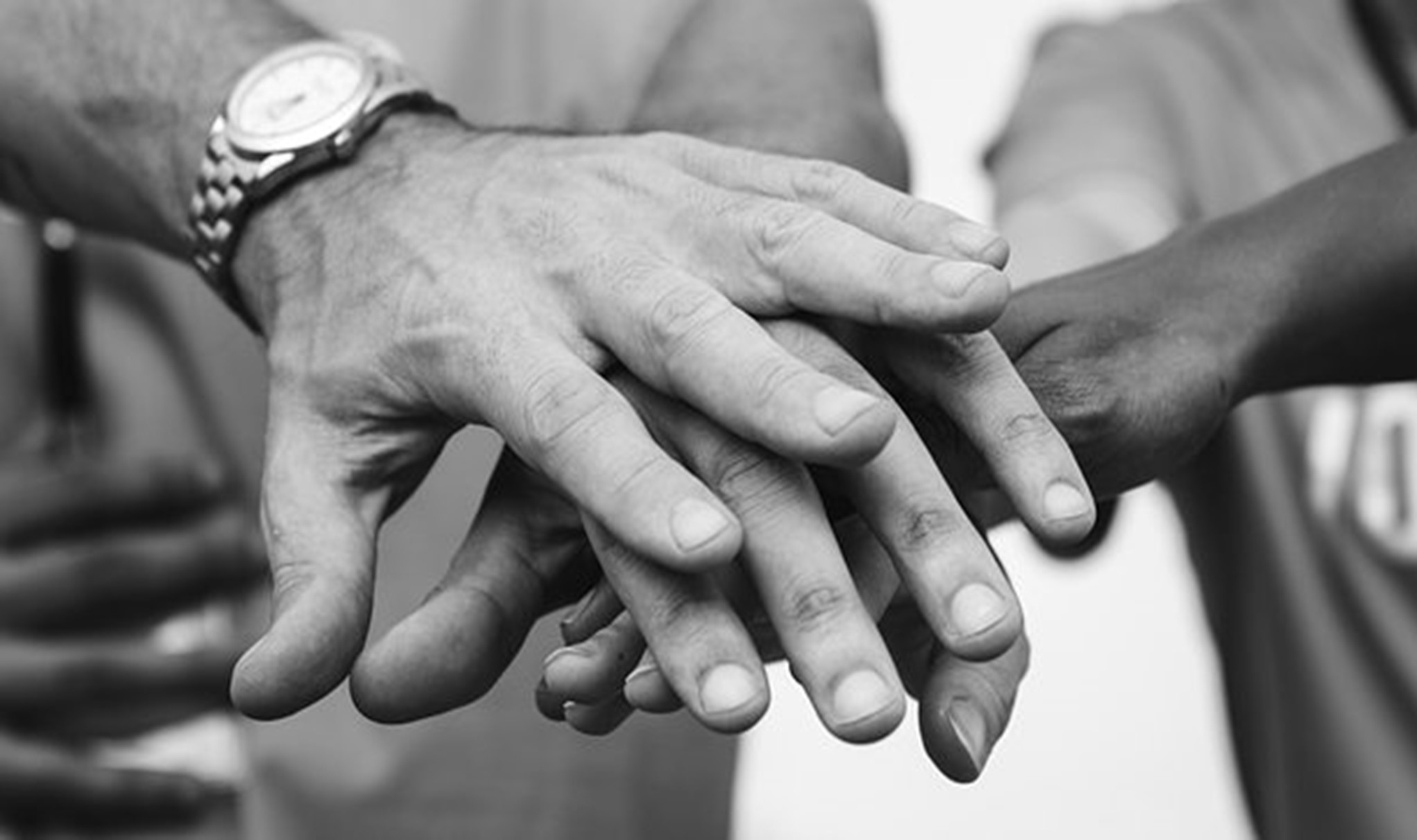 Gestión de la Inteligencia Emocional para el Liderazgo Personal y de Equipo 